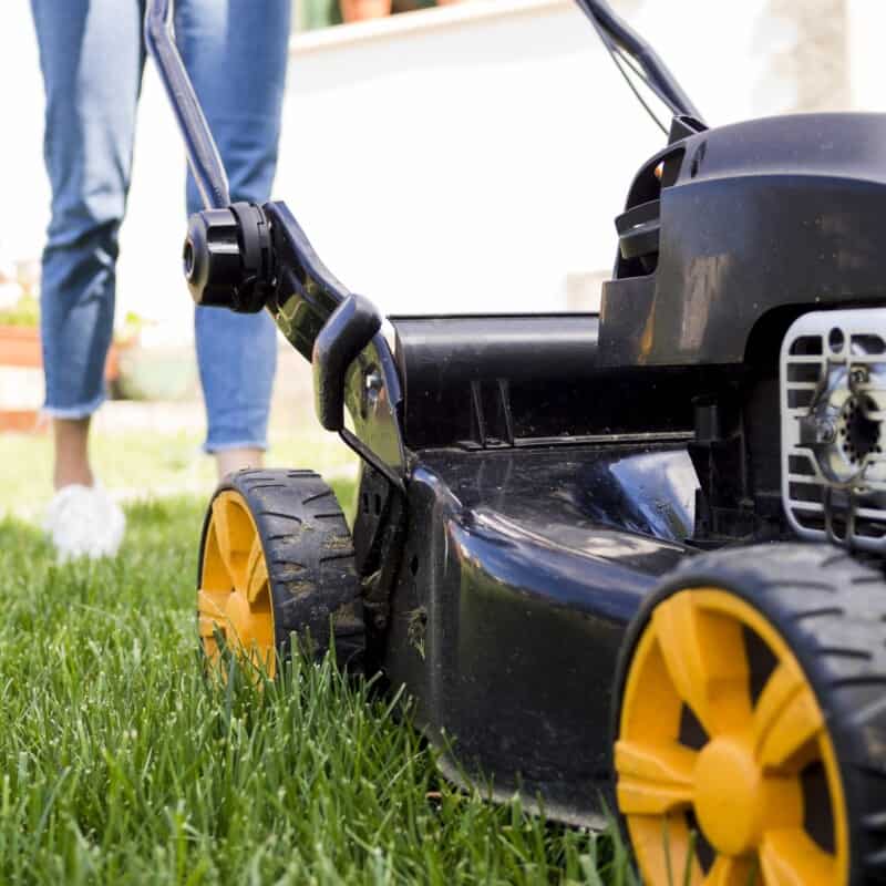 Jardinería